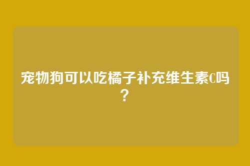 宠物狗可以吃橘子补充维生素C吗?