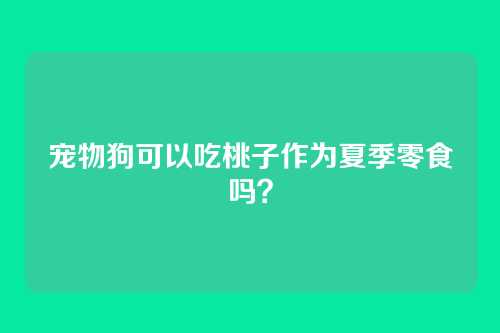 宠物狗可以吃桃子作为夏季零食吗?