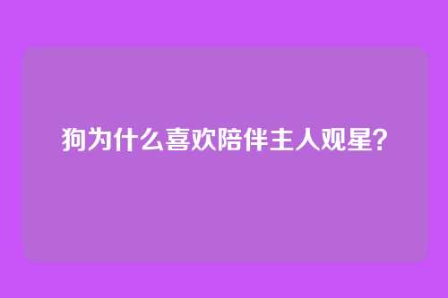 狗为什么喜欢陪伴主人观星?