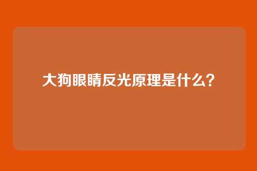大狗眼睛反光原理是什么？