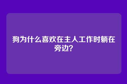 狗为什么喜欢在主人工作时躺在旁边?