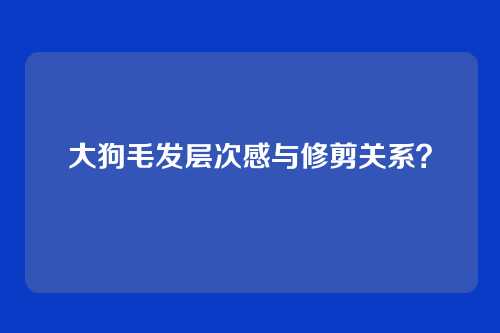 大狗毛发层次感与修剪关系?