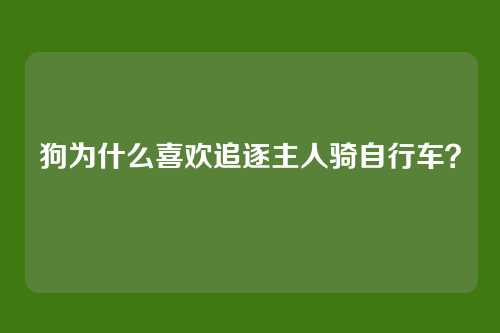 狗为什么喜欢追逐主人骑自行车?