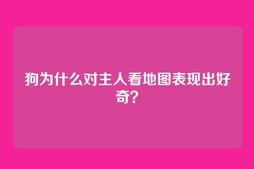 狗为什么对主人看地图表现出好奇？