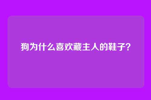 狗为什么喜欢藏主人的鞋子?