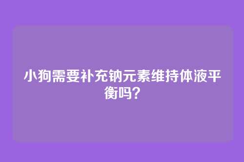 小狗需要补充钠元素维持体液平衡吗?