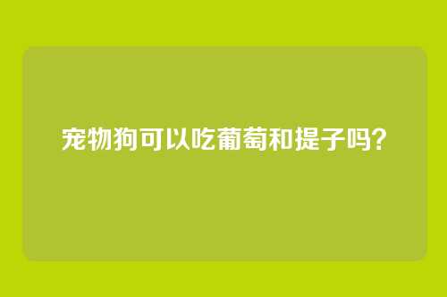 宠物狗可以吃葡萄和提子吗?