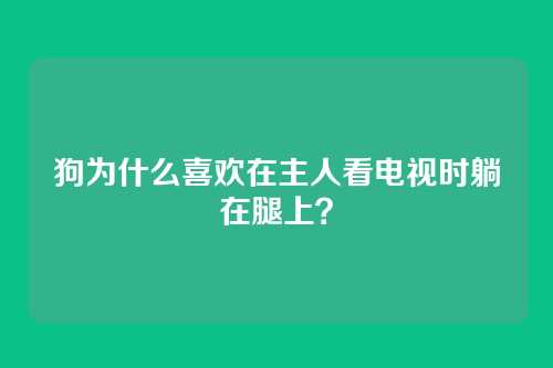 狗为什么喜欢在主人看电视时躺在腿上?