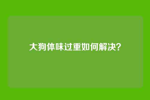大狗体味过重如何解决？