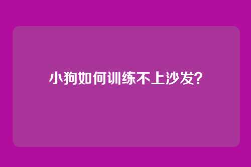 小狗如何训练不上沙发?