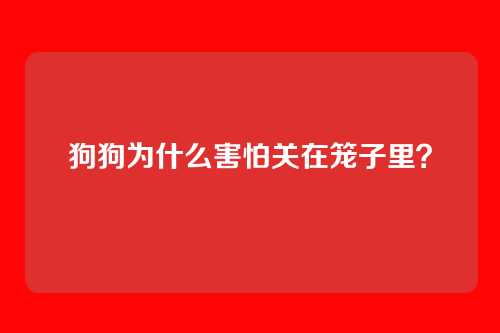 狗狗为什么害怕关在笼子里?
