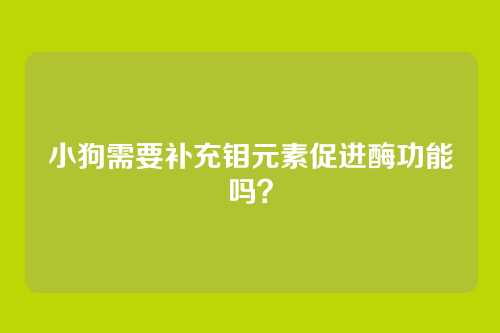 小狗需要补充钼元素促进酶功能吗？