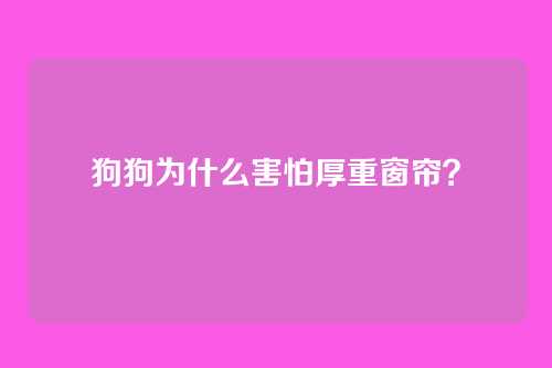 狗狗为什么害怕厚重窗帘？