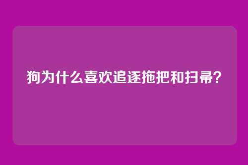狗为什么喜欢追逐拖把和扫帚？