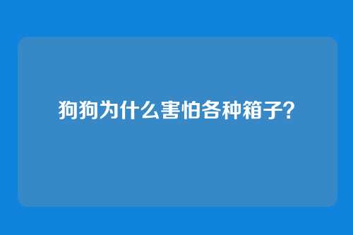 狗狗为什么害怕各种箱子？