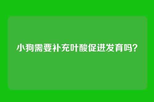 小狗需要补充叶酸促进发育吗？