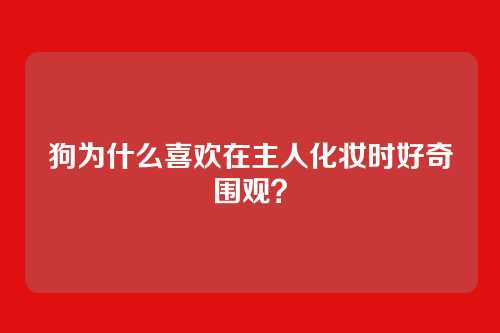 狗为什么喜欢在主人化妆时好奇围观?