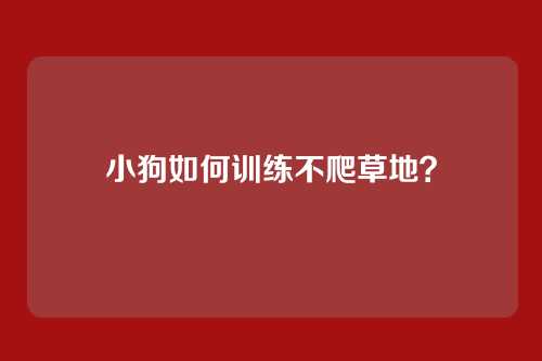 小狗如何训练不爬草地？