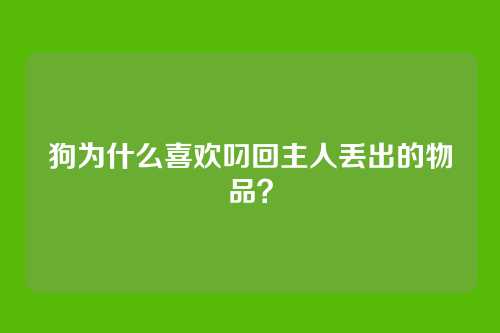 狗为什么喜欢叼回主人丢出的物品？