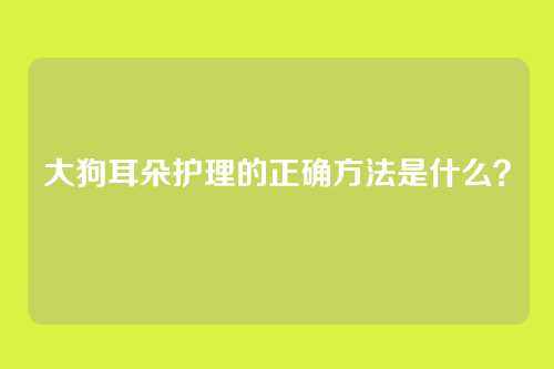 大狗耳朵护理的正确方法是什么?