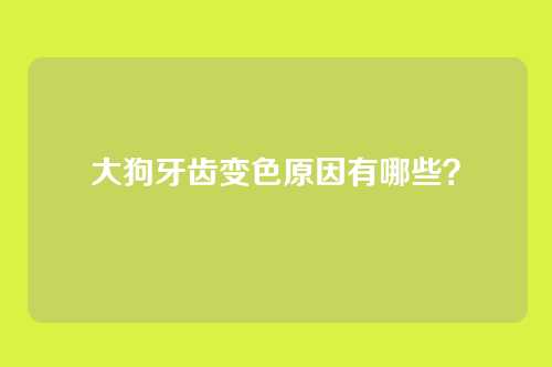 大狗牙齿变色原因有哪些?