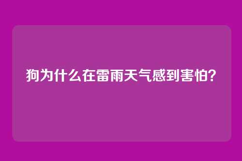 狗为什么在雷雨天气感到害怕？