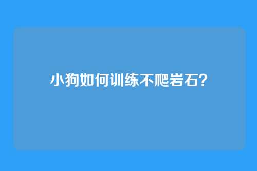小狗如何训练不爬岩石？