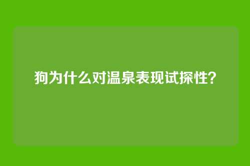 狗为什么对温泉表现试探性？