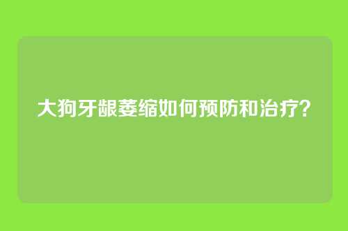 大狗牙龈萎缩如何预防和治疗?
