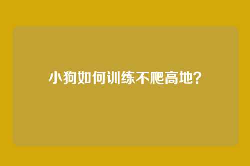 小狗如何训练不爬高地？