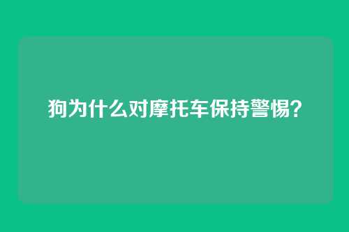 狗为什么对摩托车保持警惕?