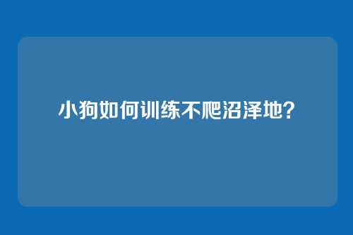 小狗如何训练不爬沼泽地?