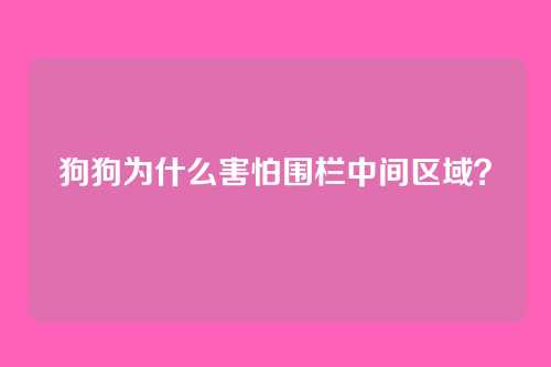 狗狗为什么害怕围栏中间区域？