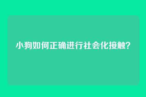 小狗如何正确进行社会化接触？