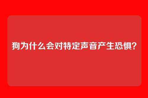 狗为什么会对特定声音产生恐惧?