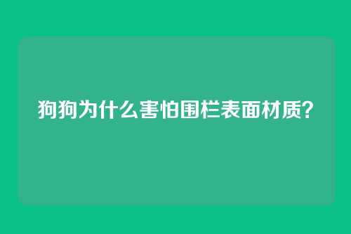 狗狗为什么害怕围栏表面材质？