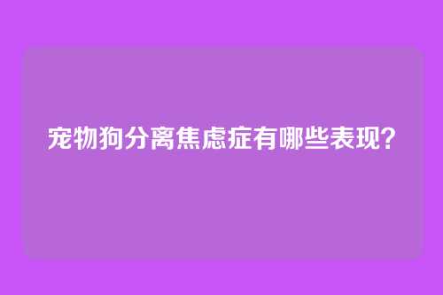 宠物狗分离焦虑症有哪些表现？