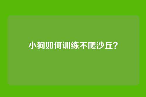 小狗如何训练不爬沙丘？