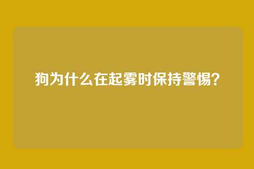 狗为什么在起雾时保持警惕？