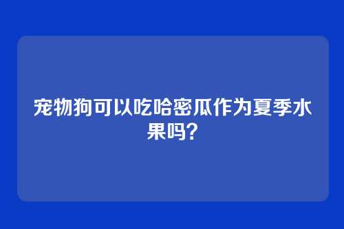 宠物狗可以吃哈密瓜作为夏季水果吗?