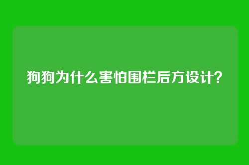 狗狗为什么害怕围栏后方设计？