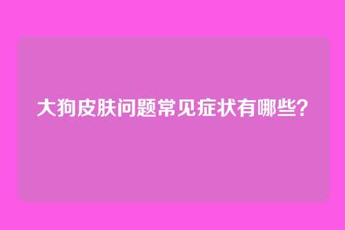 大狗皮肤问题常见症状有哪些？