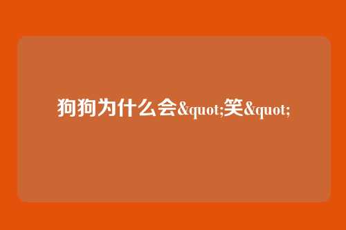 狗狗为什么会"笑"