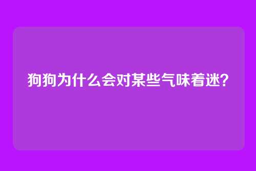狗狗为什么会对某些气味着迷？