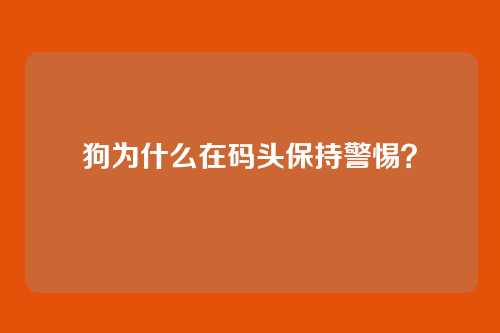 狗为什么在码头保持警惕？