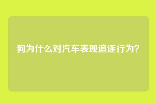 狗为什么对汽车表现追逐行为？