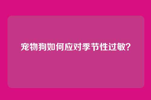 宠物狗如何应对季节性过敏?