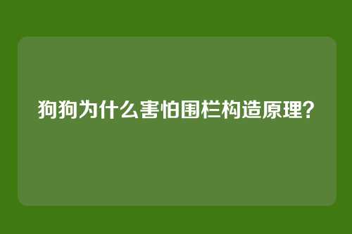 狗狗为什么害怕围栏构造原理?