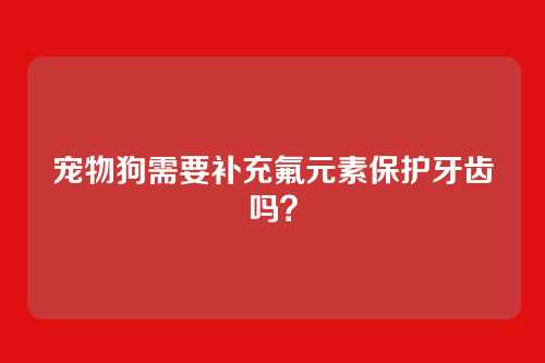 宠物狗需要补充氟元素保护牙齿吗?