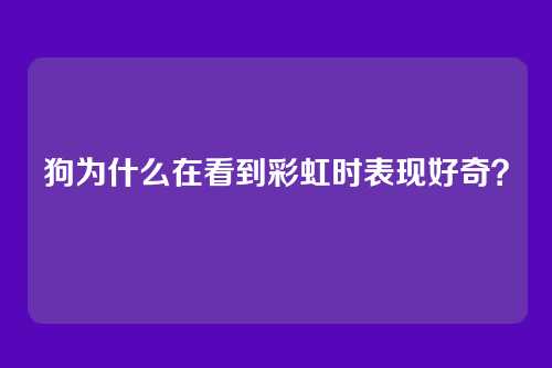 狗为什么在看到彩虹时表现好奇？